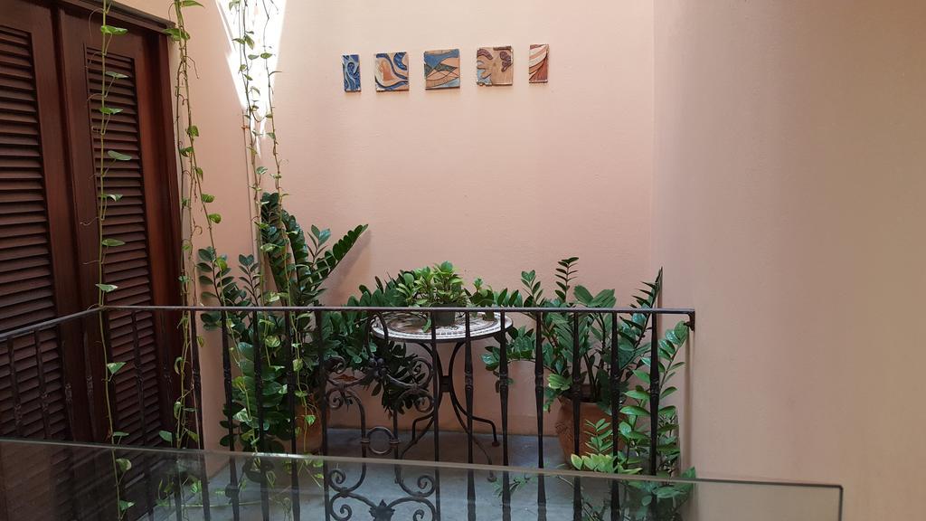 Casa Del Valle Guest House San Juan Ngoại thất bức ảnh